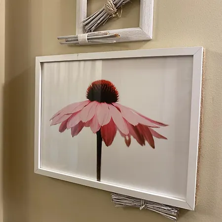 게스트하우스 El Corcal De Liebana 타마