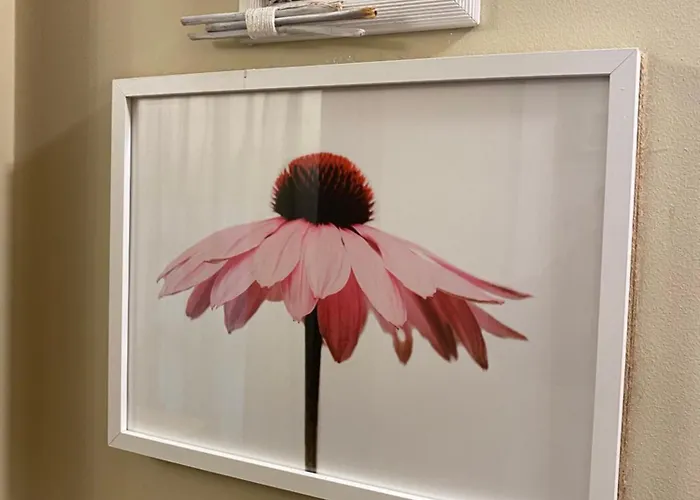 Gasthuis El Corcal De Liebana Tama